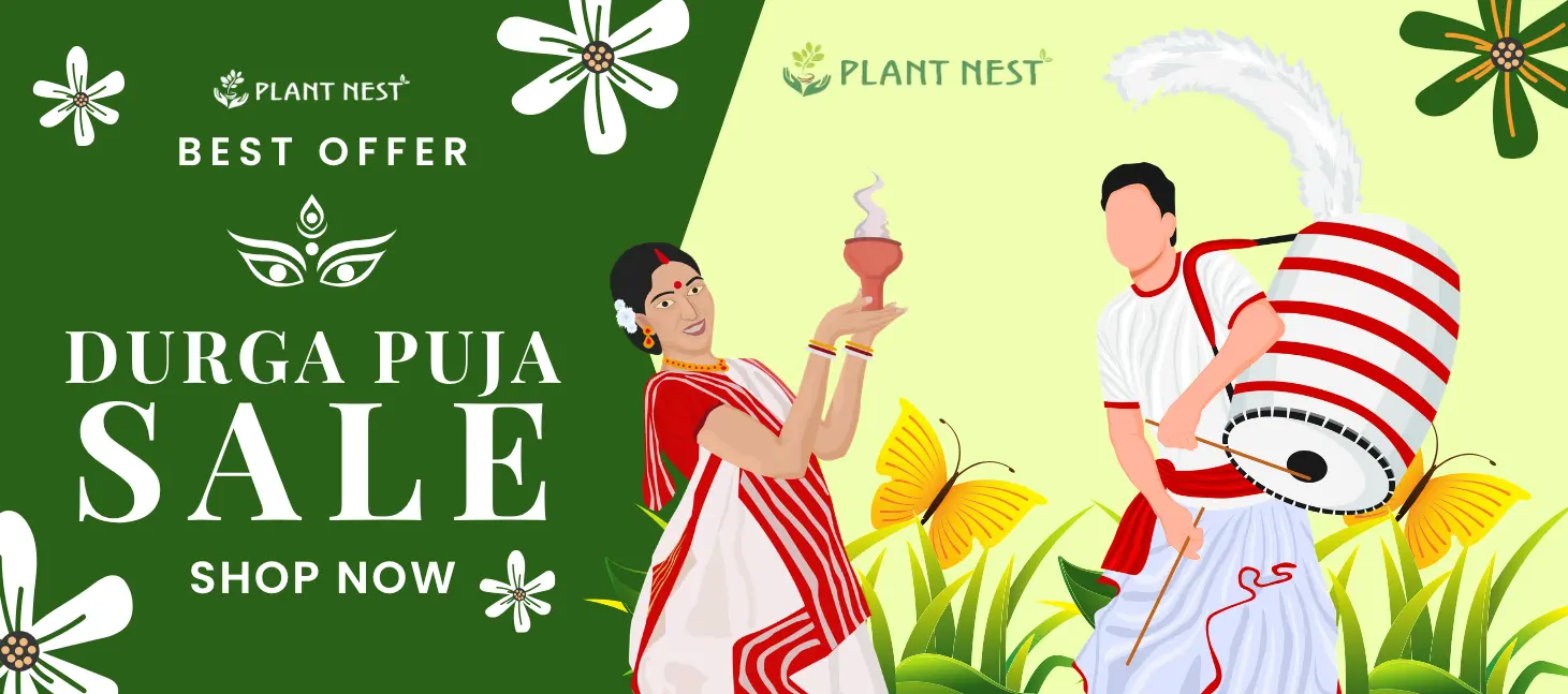 plantnest_banner