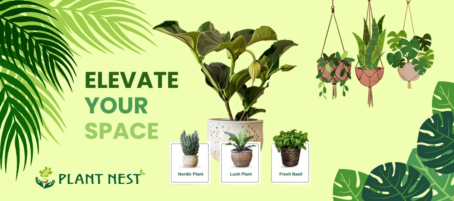 plantnest_banner2